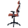 Reaii Mid Back Ergonomic Chair in Orange Colour