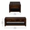 Shri Art Coffee Table with Drawer Storage