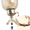 Eliante Modern Wall Lights Mild Steel & Glass Material Gold & Champaign Finish
