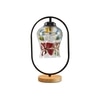 Devansh Multicolor Glass Wooden & Iron  Table Lamp -17 Inch Height  -Akk