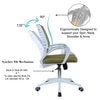 Mmarveal Mid Back Ergonomic Chair in Pearl Green Colour