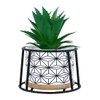 Highly Attractive Succulent Plant With A Geometric Patterned Ceramic Pot In A Stand