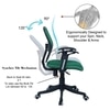 Aaeroa Low Back Ergonomic Chair in Dark Green Colour