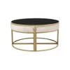 Benton Nesting Black Glass Coffee Table Set With 4 Stools In Gold Finish