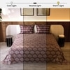 Stoa Paris Satin King Size Bedsheet with 2 Pillow Covers  Size Ruby Affair