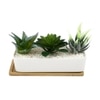 Artificial Faux Plants In A Ceramic Pot With A Wooden Plate