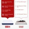 Back Master Biofoam Oragnic Bonded Foam Mattress