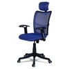 Jeaorda High Back Ergonomic Chair in Blue Colour