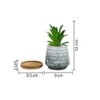 White 1 Pieces Succulent Artificial Plant With Pot