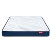 Edge Dual Comfort Foam Mattress (72 x 48 in, 5 Inches)