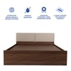 Lush Engineered Wood Queen  Size Bed With Box Storage (Walnut Finish)
