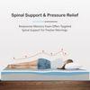 Premium Orthopedic Cooling Gel Memory Foam Mattress