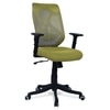 Zeeazyana Mid Back Ergonomic Chair in Pearl Green Colour