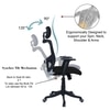Dreaceo High Back Ergonomic Chair in Black Colour