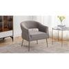 Carl Accent Chair in Grey Colour