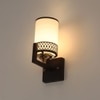 Eliante Modern Wall Lights Mild Steel, Glass & Glass Material Brown,Gold & White Finish