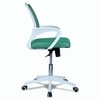 Naamikoa Mid Back Ergonomic Chair in Dark Green Colour