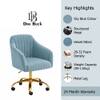 Doe Buck Louise Modern Sky Blue Velvet Office Chair