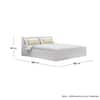 Hexa Engineered Wood Modern Queen Bed With Headboard With Storage In Frosty White