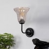 Devansh Metal Electric Wall Light in black Colour with Transparent Shade Count of 1 Light