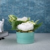 Highly Attractive White Rose With A Ceramic Pot