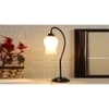 Milky Frosted Glass Curvy Table lamp with Iron Base (SP47)