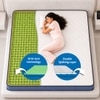 Sleepwell Ortho Genius Grid Mattress Medium Firm Orthopedic Grid Support Double 78x48x8 Inch