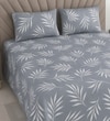 Zion Blue Floral 400 TC Cotton Flat Queen Size Bedsheet with 2 Pillow Covers – Threads