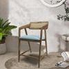 Adrasteia Solid Wood Lounge Chair In Blue Colour