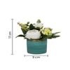 Highly Attractive White Rose With A Ceramic Pot
