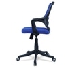 Ddeasirea Mid Back Ergonomic Chair in Blue Colour