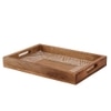 Camorta 1 Tray with Multicolor colour