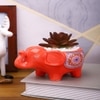 Succulent Plant Inside An Artistic Red Elephant Ceramic Pot