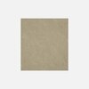 Samriddh 3 Seater Sofa In Beige Colour