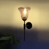 Devansh Metal Electric Wall Light in black Colour with Transparent Shade Count of 1 Light