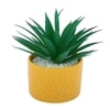 Highly Attractive Aloe Vera Plant With A Designer Ceramic Pot