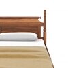 Bala Solid Wood Queen  Size Bed Without Storage (Teak Finish)