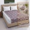White And Plum Shade Floral  Cotton 400 Tc  Fitted  Super King Size Bedsheet With 2 Pillow Covers