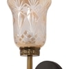 Eliante Modern Wall Lights Mild Steel, Glass & Glass Material Antique,Brown & Golden Finish