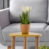 Metalsmith Solid Wood Side Table in Yellow Finish