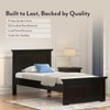 Alexandra Solid Wood Single Size Bed Without Storage (American Walnut Finish)