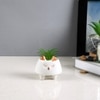 Dreamy Fox Ceramic Planter
