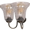 Devansh Steel Electric Wall Light in Steel Colour with Transparent Shade Count of 2 Lights