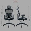 Ignis Black Ergonomic Study Chair