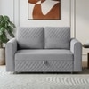 Baruna 2 Seater Velvet Pull Out Sofa Cum Bed with Storage In Grey Color