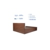 Satya Engineered Wood Queen Size Bed In Walnut Finish