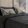 Stoa Paris Super King Size 100% Cotton Bedsheet with 2 Pillow Covers  Size Brown Beige