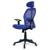 Reaii Mid Back Ergonomic Chair in Black Colour
