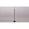 Cary Black Glass Shade Floor Lamp