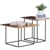 Scandinavian Destry Coffee Table Walnut Finish